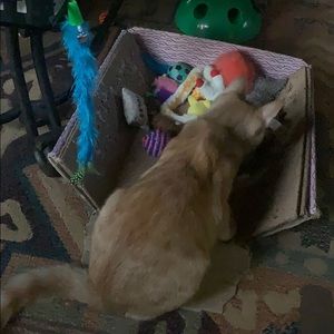 Meet your Posher, Mitchell